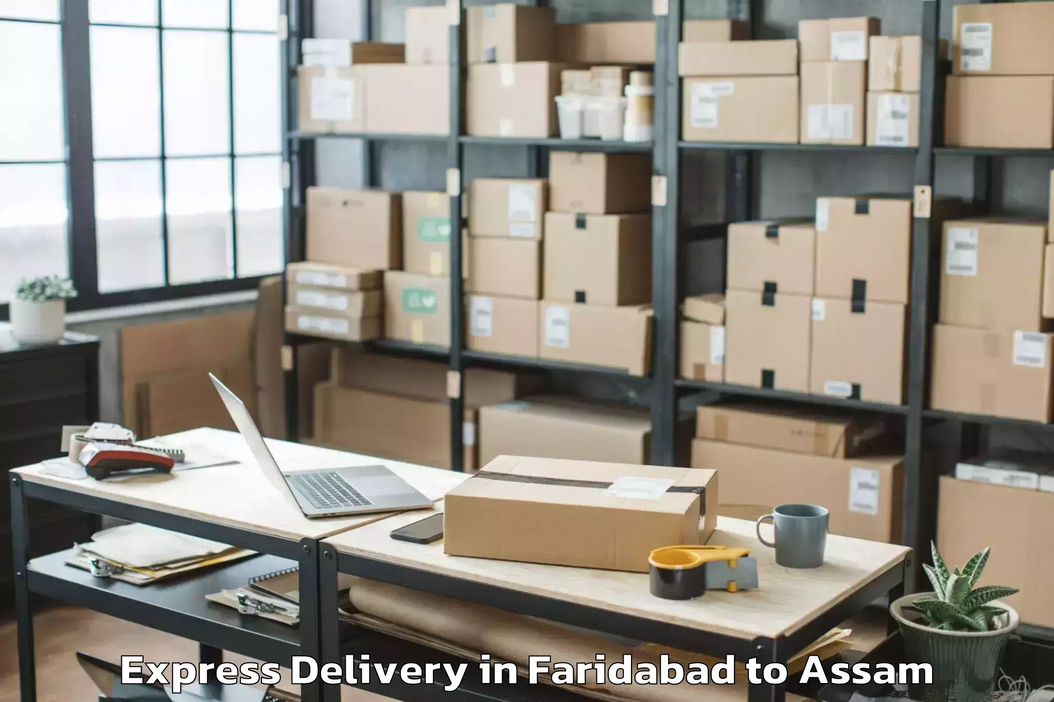 Discover Faridabad to Marigaon Express Delivery